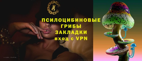 тгк Армянск